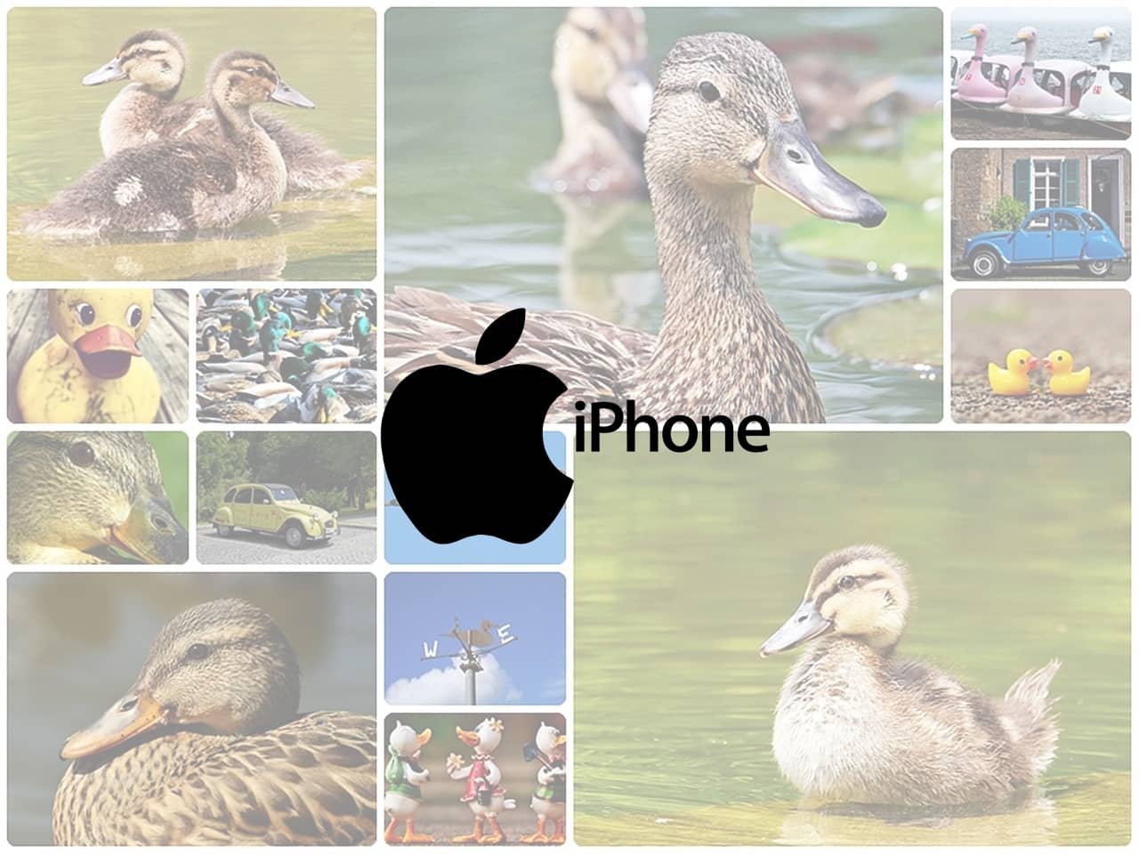 how-to-make-a-stunning-collage-on-iphone-3-ways